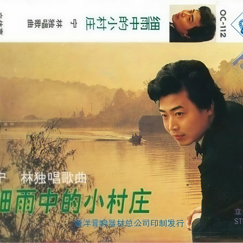 细雨中的小村庄