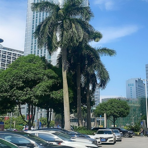 那个放不下的你(雨燕乐吧)