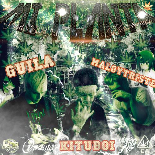 MI PLANTA (KUROREMIX) [Explicit]