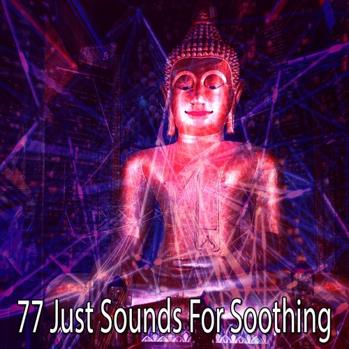 77 Just Sounds for Soothing