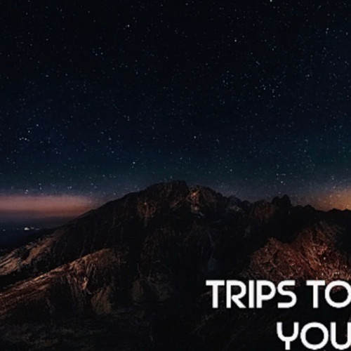Trips To You