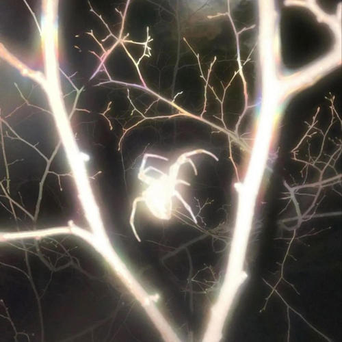 off track (feat. RERI) [Explicit]