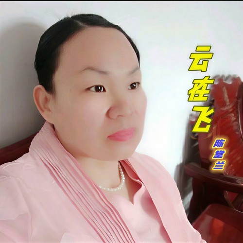云在飞