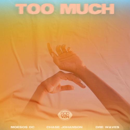 Too Much (feat. Chase Johanson & Dre Wave$) [Explicit]