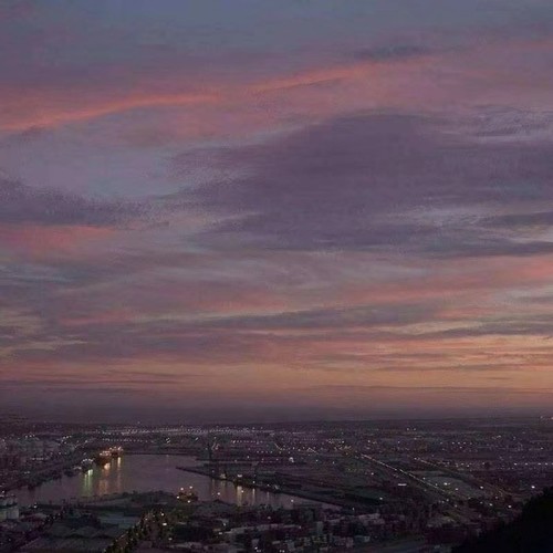 周周的音乐电台