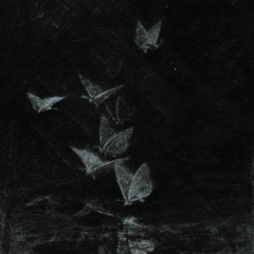 sweet poison (Explicit)