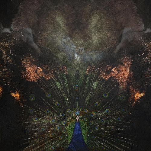 BROOKLYN#1 (Explicit)