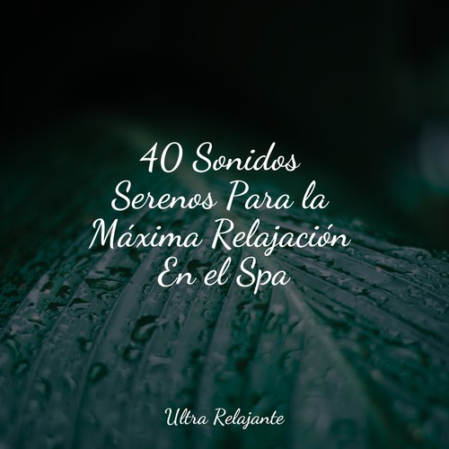 40 Sonidos Serenos Para la Máxima Relajación En el Spa