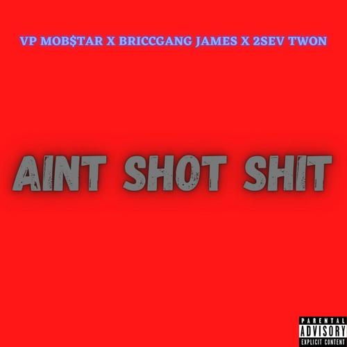 Ain't Shot **** (feat. BriccGang James & 2Sev Twon) [Explicit]