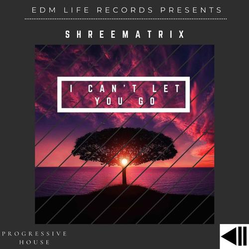 I Can't Let You Go