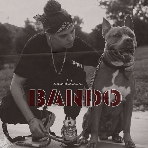 Bando