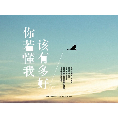 你若懂我，该有多好