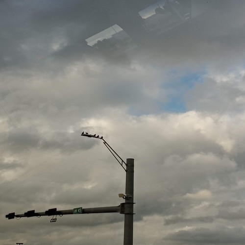 Girl In My Dreams ( Stay4ever Remix ) (Remix)