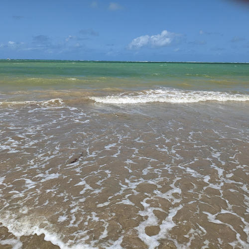 Restless Rest (feat. Nazih Borish)