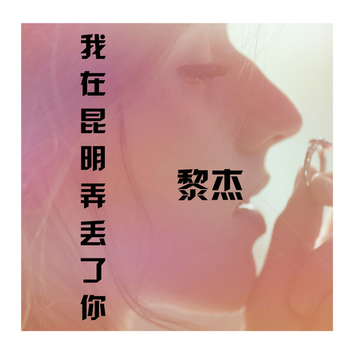 我在昆明弄丢了你