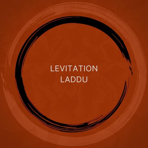 Levitation Laddu (feat. Ronan Skillen, Benjamin Badenhorst & Ahsan Ali)
