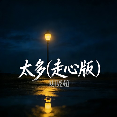 太多 (走心版)
