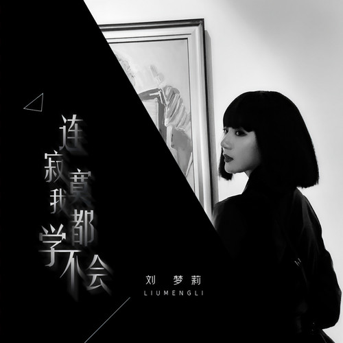 连寂寞我都学不会