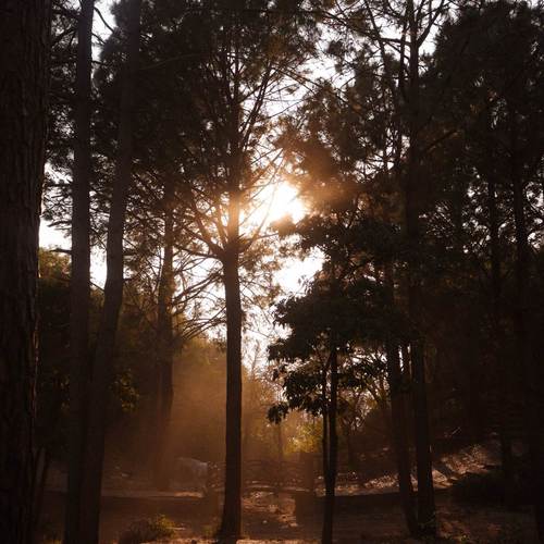 Love Hurts (Explicit)