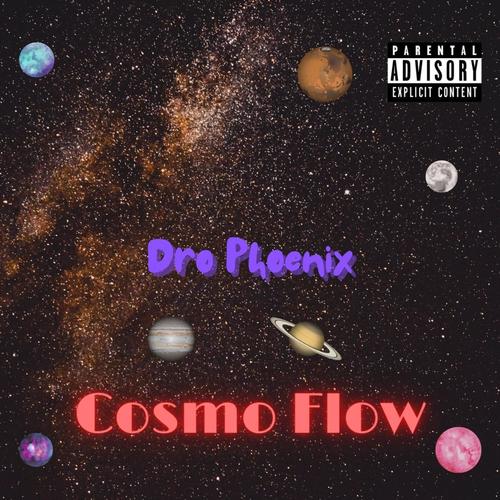 Cosmo Flow (Explicit)