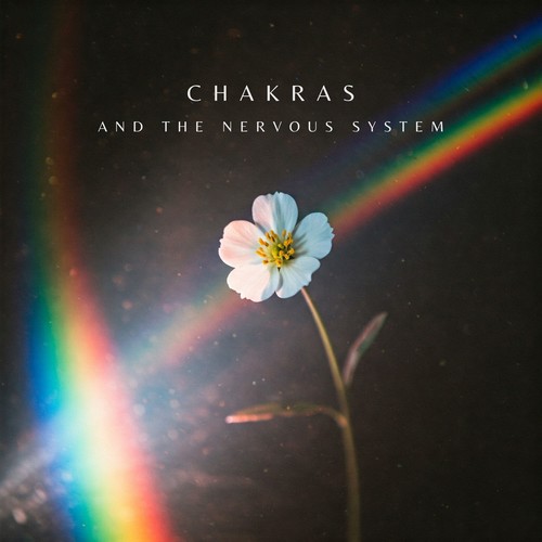 Chakras and the Nervous System