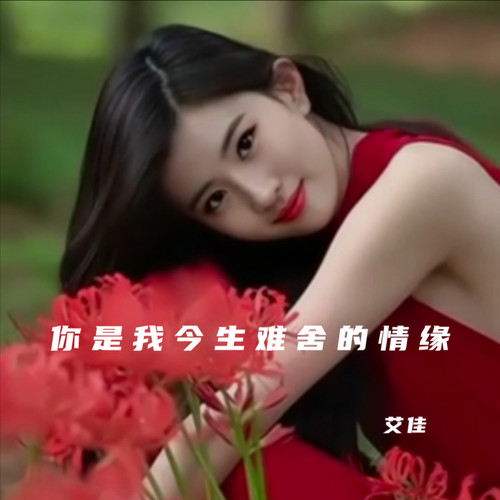 你是我今生难舍的情缘
