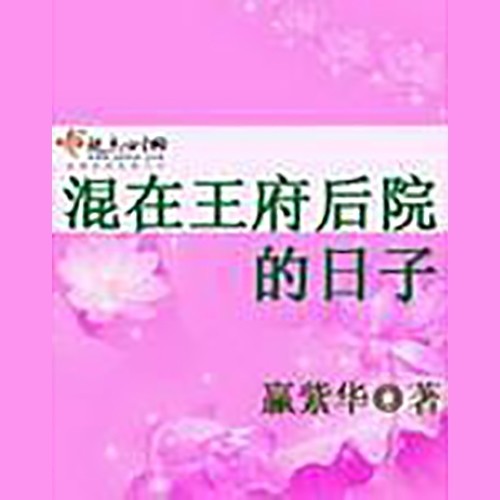 混在王府后院的日子