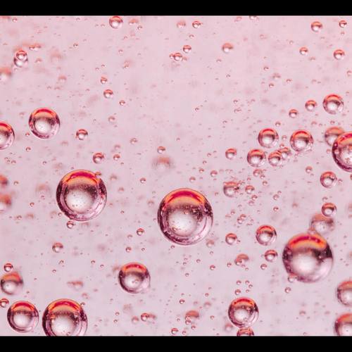 In My Bubble (feat. Cnopes & Dubmentia)
