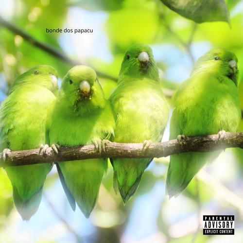 bonde dos papacu (feat. Mc Mr. Bim) [Explicit]