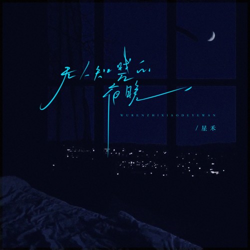 无人知晓的夜晚