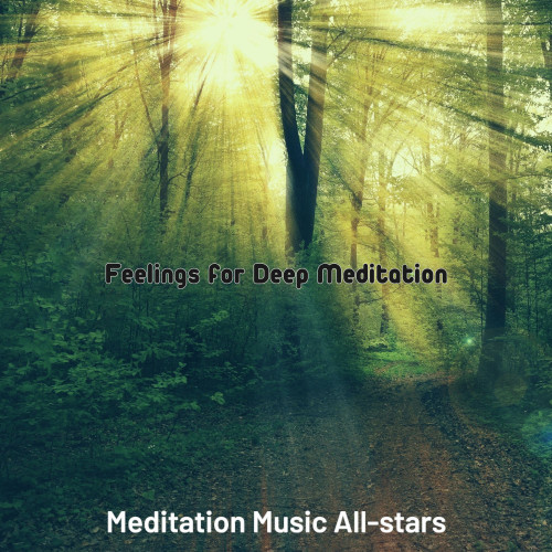 Feelings for Deep Meditation