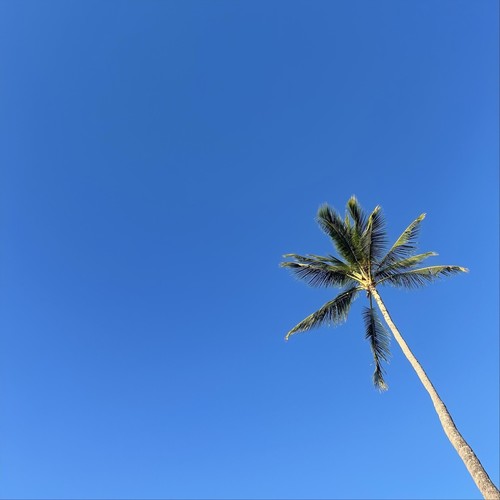 Kamali’i Park Meditation (Live)