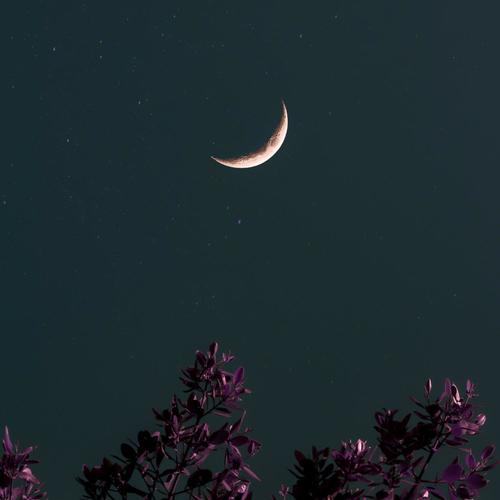 Better Days (Remixes)