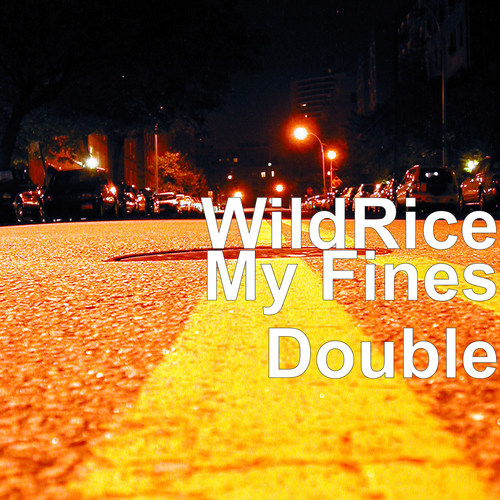 My Fines Double (Explicit)