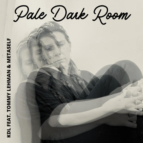Pale Dark Room (feat. Tommy Lehman & Metaself)