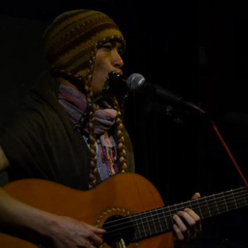 行走在路上的山林鸟儿