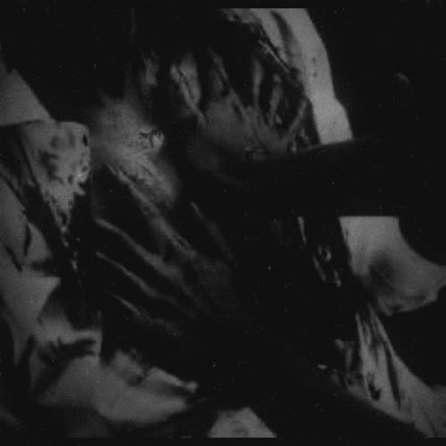 lets die together (Explicit)