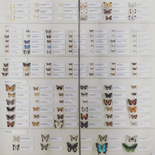 一张普通的填翻