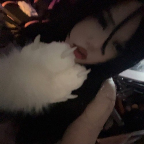 KING OF EVERYTHING (Explicit)