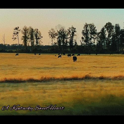 A Kentucky Sweetheart