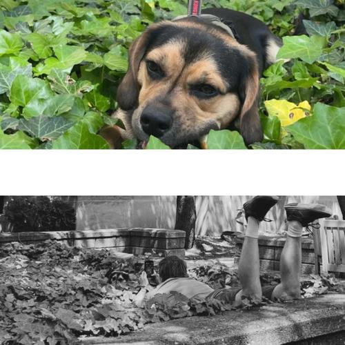 mud river styx (Original Version)