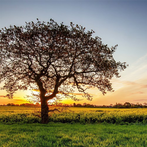 你的答案（终极版本dj版）