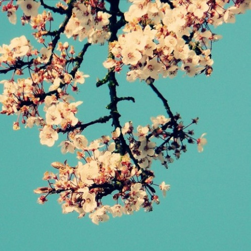 Cycle (prod. pdr0sa)