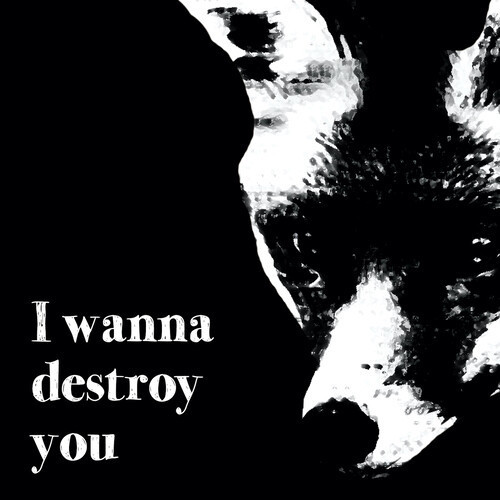 I Wanna Destroy You