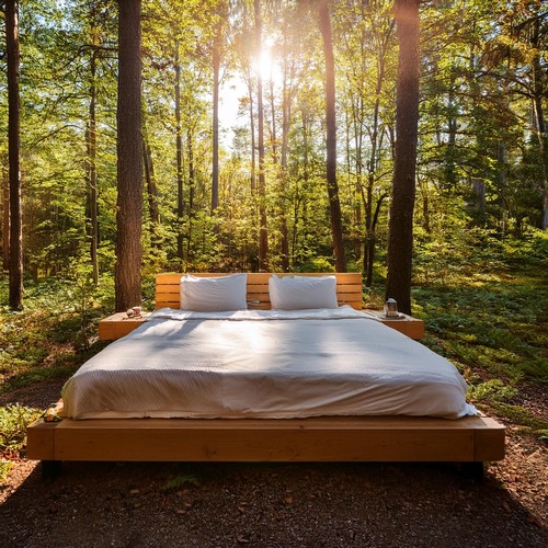 Armonías De Sueños: Música Para Un Sueño Profundo