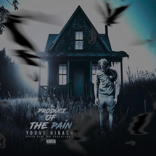 Hibachi Flow, Pt. 2 (Explicit)