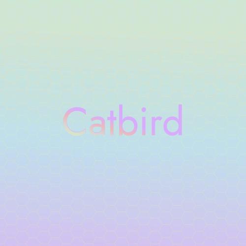 Catbird