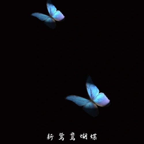 新鸳鸯蝴蝶(女生完整版)