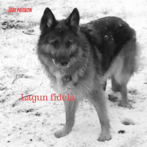 Lagun Fidela