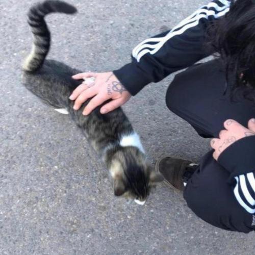 Xuxetumare de 100pre (Explicit)